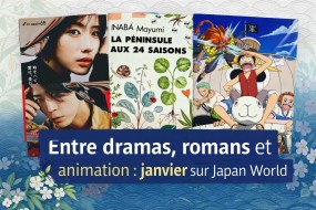 Entre dramas, romans et animation en Janvier