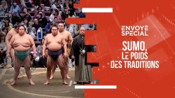 Sumo, le poids des traditions