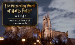 The Wizarding World of Harry Potter à USJ : mon expérience ... Image 1