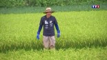 Extrait du reportage « Carnet de route au Japon »
