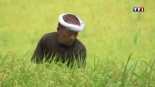Extrait du reportage « Carnet de route au Japon »