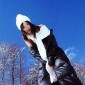 Sawajiri Erika Image 32