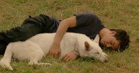 DOG×POLICE : Junpaku no Kizuna Image 3