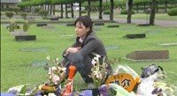 Dream Again Image 5