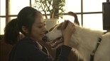 Juui Dolittle Image 5