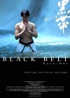 Affiche internationale du film Black Belt