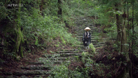 Japon : les chemins de pèlerinage