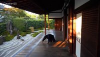 Jardins d'ici et d'ailleurs, Daitoku-ji