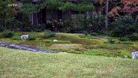 Jardins d'ici et d'ailleurs, Murin-an