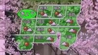 Sakura ou le printemps japonais