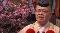 Sakura ou le printemps japonais