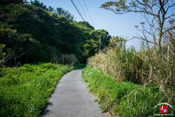 Direction un point de vue sur l'île d'Ainoshima à Fukuoka