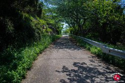 C'est parti pour faire le tour de l'île d'Ainoshima à Fukuoka