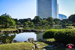 Kyu-Shiba-rikyu Onshi Teien en 2017