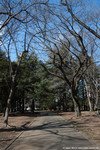 Un Parc dans la ville