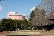 Yoyogi-koen Un Parc dans la ville
