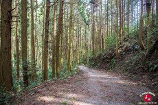 La randonnée pour le lac Tempai à Fukuoka