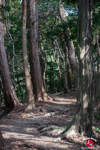 Retour de la randonnée du  lac Tempai à Fukuoka