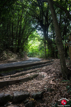Il faut prendre à droite et suivre la route pour la randonnée du Mont Homan Il faut prendre à droite et suivre la route pour la randonnée du Mont Homan