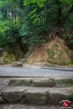 A cet embranchement, prenez la route en face pour la randonnée du Mont Homan A cet embranchement, prenez la route en face pour la randonnée du Mont Homan