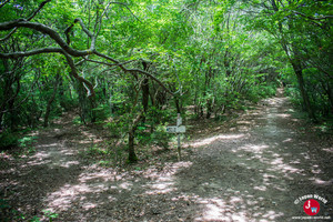 Prendre le chemin de droite au Mont Sangunsan à Fukuoka