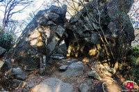 Descente par le sentier Shirakumobashi