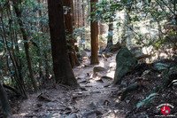 Descente par le sentier Shirakumobashi