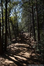 Sentier N°6