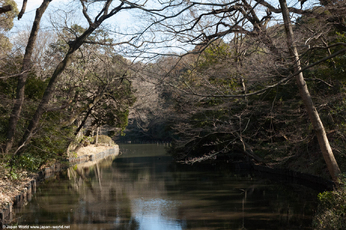 L'étang du Meiji-jingu Gyoen