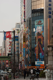 Akihabara