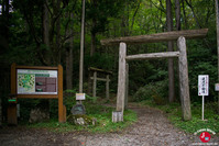 Le torii d'entrée pour accéder aux chutes Tatsusawa Fudo