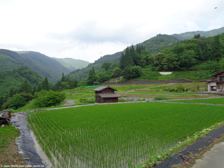 Tanekura Inn - Les cultures de riz en terrasses