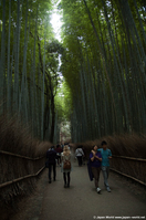 Bambouseraie d'Arashiyama