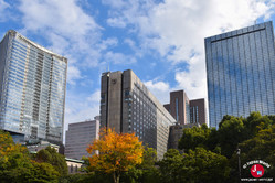 Parc Hibiya en 2017