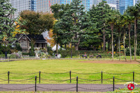 First Flower Garden au parc Hibiya en 2017