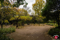 Le Parc mémorial d'Arisugawa-no-miya en 2017