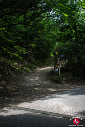 Une fois arrivé ici, prenez à gauche pour la randonnée du Mont Homan