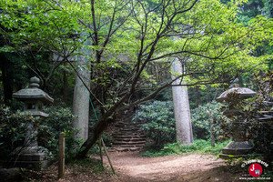 Randonnée du Mont Homan à Fukuoka