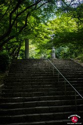 Départ pour la randonnée du Mont Homan à Fukuoka