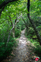 Mont Sangunsan à Fukuoka