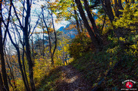 Chemin qui mène au Mont Ohtake