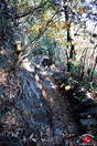 Montée avant le Mont Ohtake