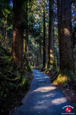 La montée à pied jusqu'au Mont Mitake