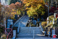 L'arrivée au sanctuaire shintoïsme du Mont Mitake