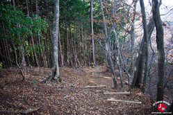 Chemin qui mène au mont Iwatakeishi-yama