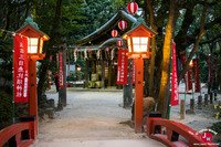 Le sanctuaire Sumiyoshi-jinja de nuit