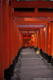 Fushimi Inari-taisha