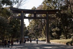 Torii du Meiji-jingu