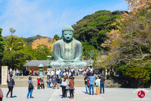 Grand Bouddha du temple Kotoku-in