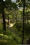 Ginkaku-ji Ginkaku-ji